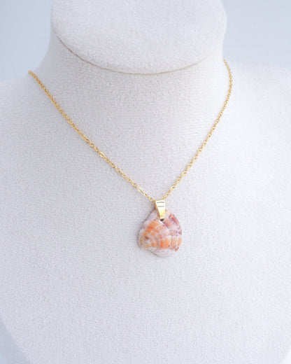 Neck display with unique pattern Orange Fuchsia Venus Shell Gold Necklace 