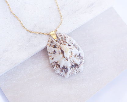 White Brown Mediterranean Limpet Shell Gold Necklace displayed on stone close up, Limpet Shell from Portugal 