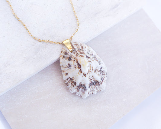 White Brown Mediterranean Limpet Shell Gold Necklace displayed on stone close up, Limpet Shell from Portugal 