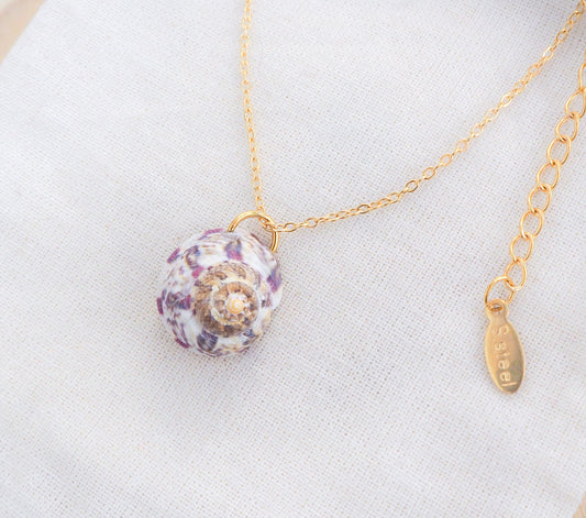 White Fuchsia Magus Top Shell Necklace with shell from Portugal