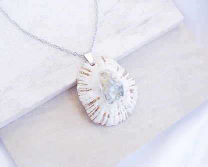 White Grey Limpet Shell Silver Necklace on stone display close up, Rough Limpet Shell Necklace from Portugal