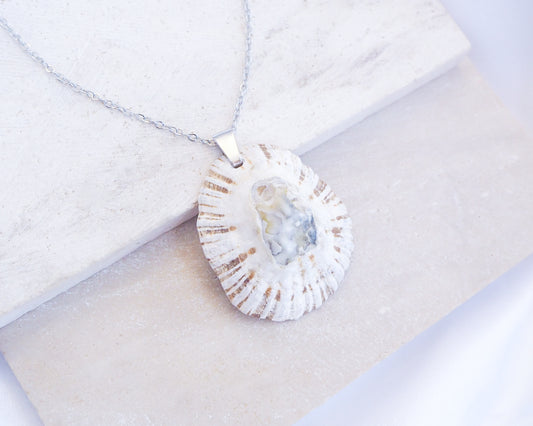 White Grey Limpet Shell Silver Necklace on stone display close up, Rough Limpet Shell Necklace from Portugal