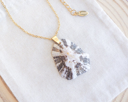 Zebra Limpet Shell Necklace on stone displayed with gold chain necklace 