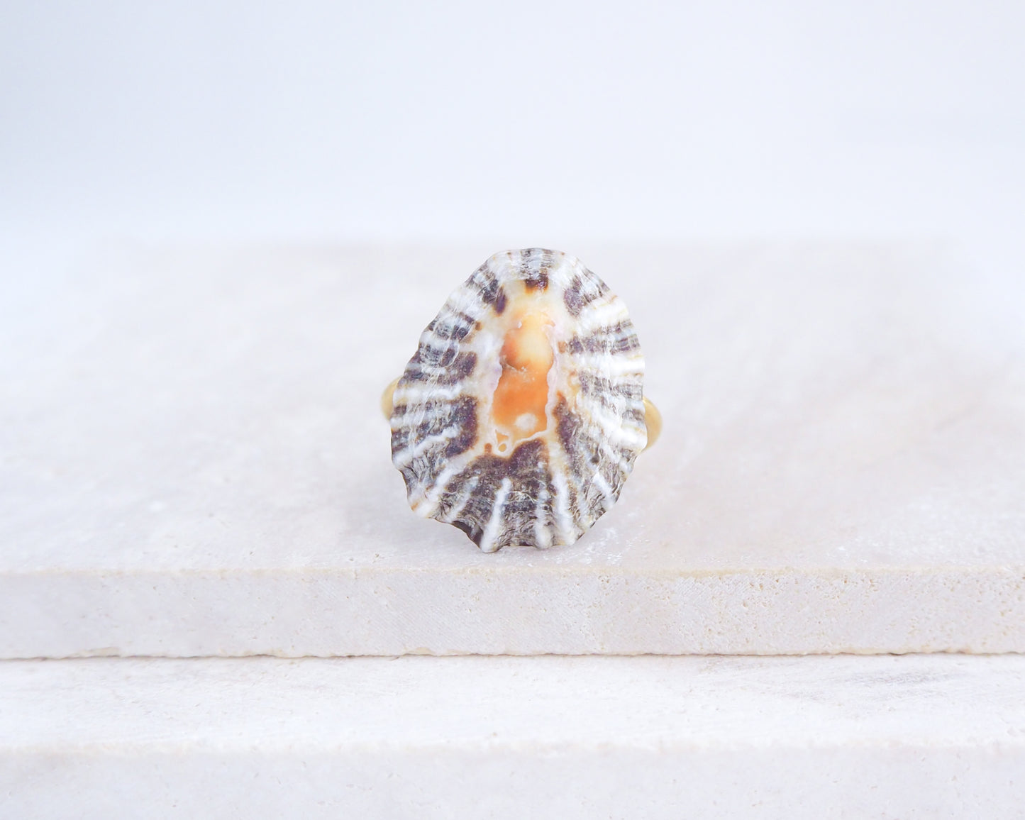 Close up front view of Zebra Limpet Shell Gold Ring from Portugal on stone display, Handpicked Zebra Limpet Shell from Portugal, Gold Stainless Steel ring with Black White Limpet Shell with Orange center