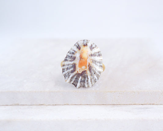 Close up front view of Zebra Limpet Shell Gold Ring from Portugal on stone display, Handpicked Zebra Limpet Shell from Portugal, Gold Stainless Steel ring with Black White Limpet Shell with Orange center