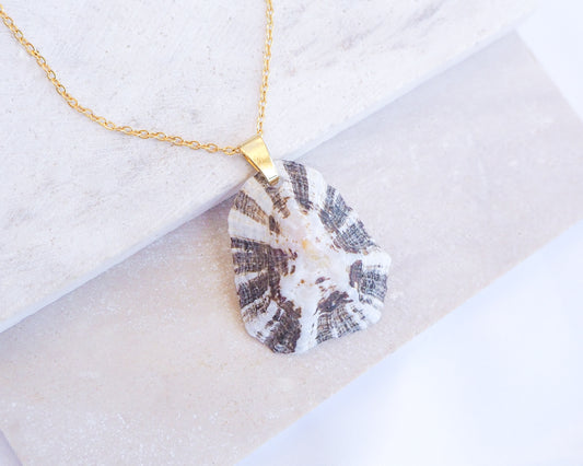 Zebra Limpet Shell Necklace on stone displayed with gold chain necklace 