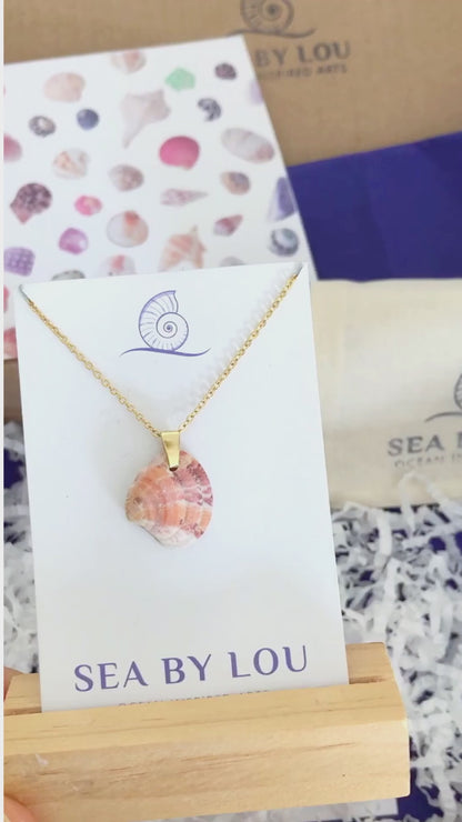 SEASHELL NECKLACE ~ Striped Venus Shell II